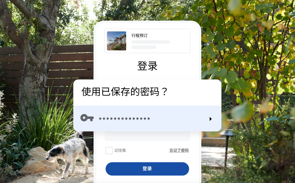 谷歌 浏览器