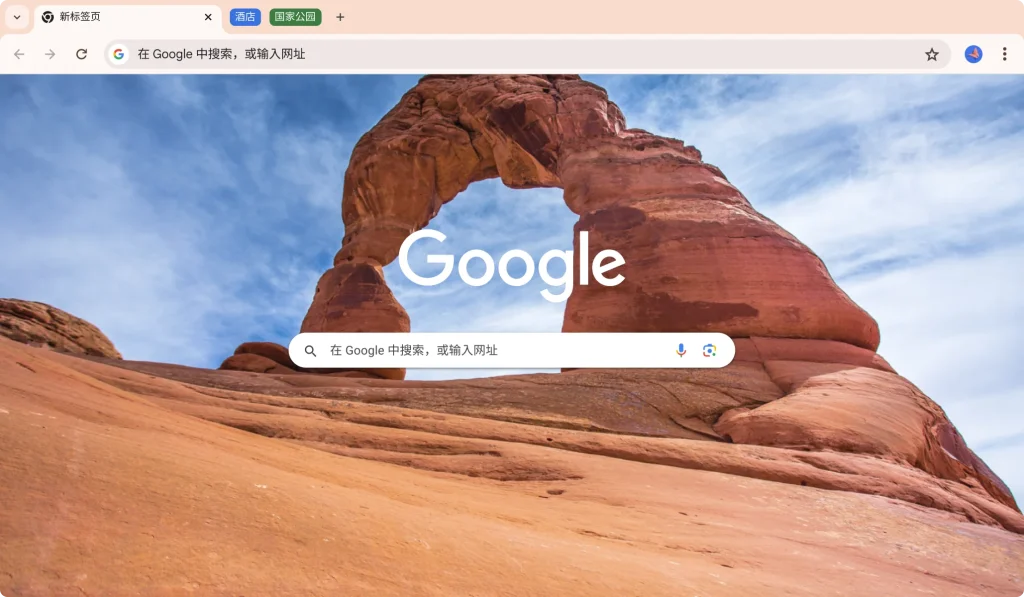 chrome浏览器
